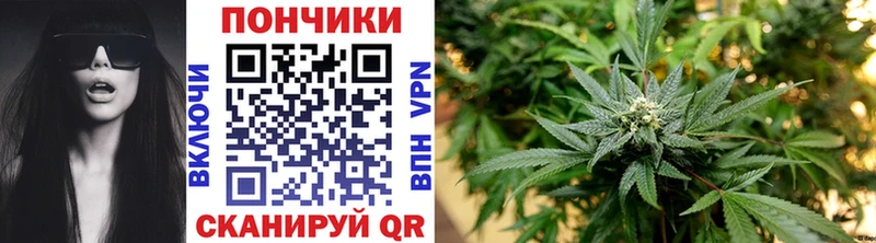 Наркотические вещества Богданович МАРИХУАНА Бутират ГАШ Мефедрон СК
