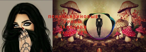 сатива Алексин