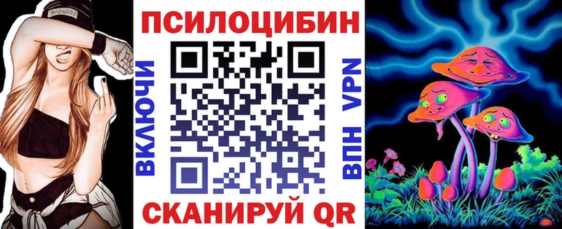 Псилоцибиновые грибы мухоморы  где можно купить наркотик  Богданович 